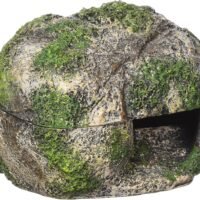 Zilla Small Rock Lair